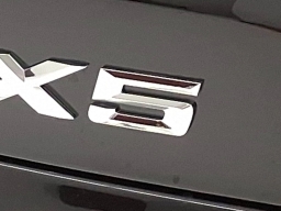 BMW X5 sDrive40i Sports Activity Vehicle 2026