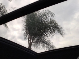 BMW X5 xDrive50e Plug-In Hybrid 2026