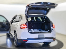 BMW X3 30 xDrive Sports Activity Vehicle 2026