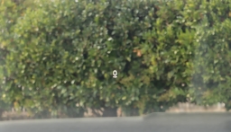 Mazda CX-50 Hybrid Premium Plus AWD 2026