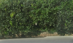 Mazda CX-50 Hybrid Premium Plus AWD 2026