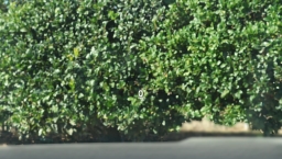 Mazda CX-50 Hybrid Premium Plus AWD 2026