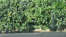 Mazda CX-50 Hybrid Premium Plus AWD 2026