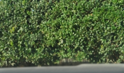 Mazda CX-50 Hybrid Premium Plus AWD 2026