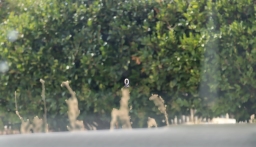 Mazda CX-50 2.5 Turbo Premium Plus AWD 2026