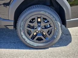 Subaru Outback Wilderness AWD 2026