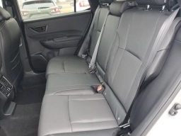 Subaru Outback Wilderness AWD 2026