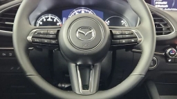 Mazda Mazda3 Hatchback 2.5 Turbo Premium Plus Auto AWD 2025