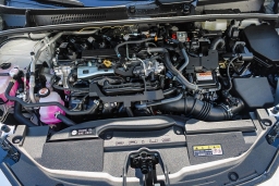 Toyota Prius XLE (Natl) 2026