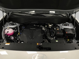 Hyundai Palisade Calligraphy AWD 2026