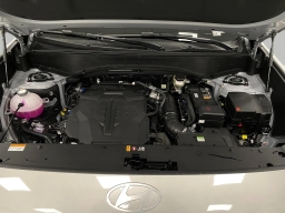 Hyundai Palisade Calligraphy AWD 2026