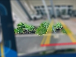 Mercedes-Benz CLE CLE 300 4MATIC Coupe 2026