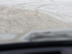 BMW X1 xDrive28i Sports Activity Vehicle 2026